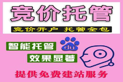 案例分析：打造高效竞价推广策略